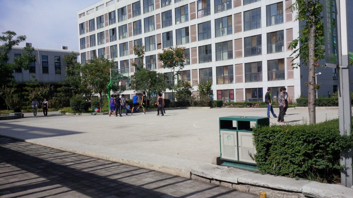 提取物商务标准