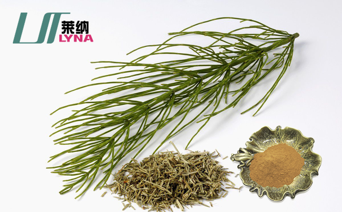 问荆提取物【有机硅】 _【莱纳生物】十年医药保健品化妆品原料供应商!