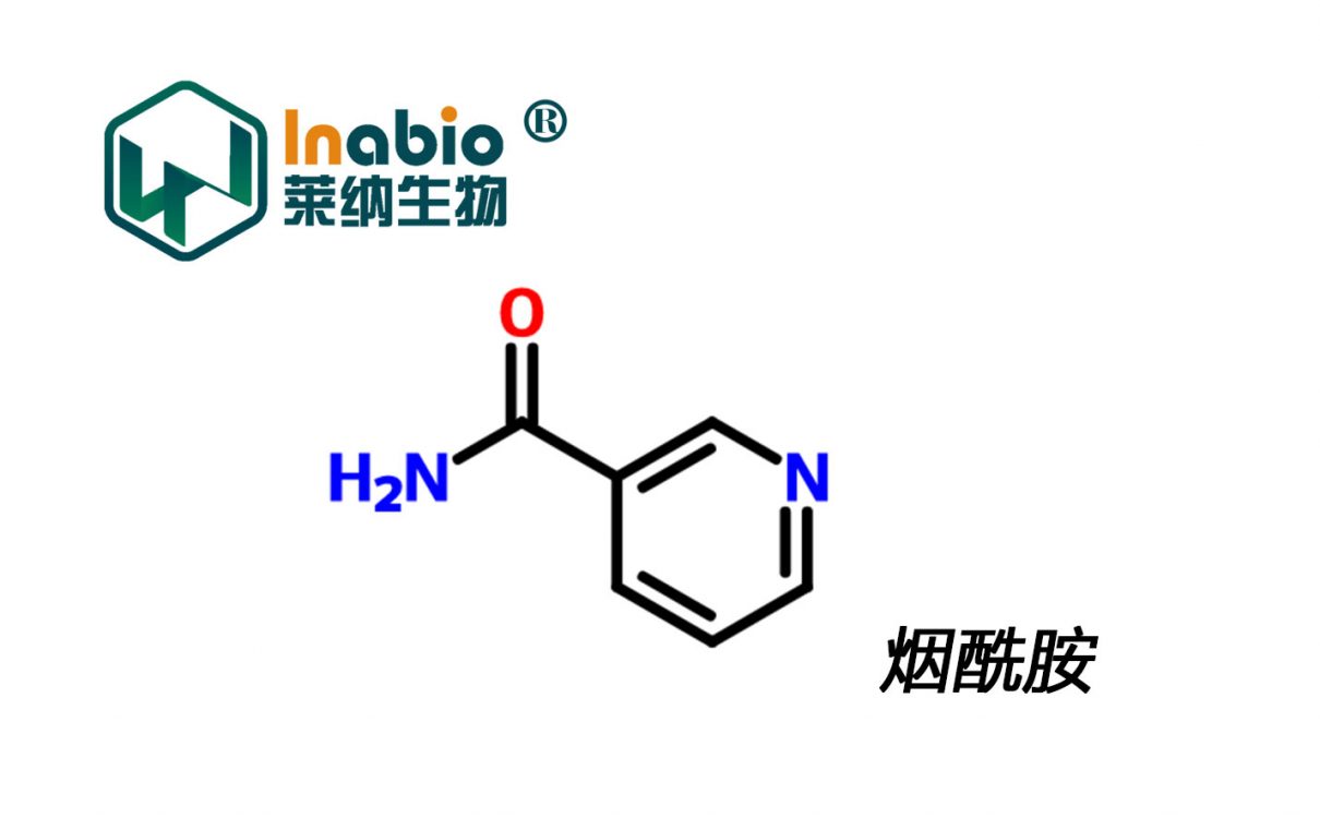 烟酰胺