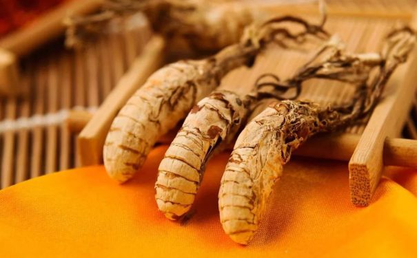 科普：金蝉花的功效与作用