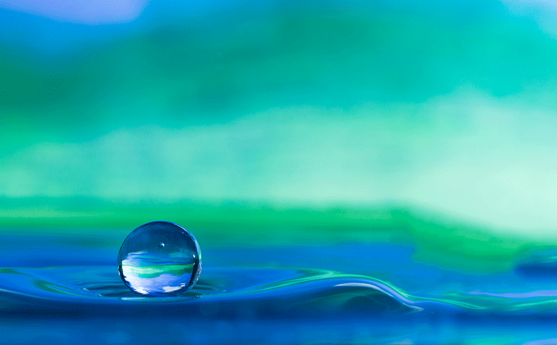 植物提取物健康老龄化的整体营养需求