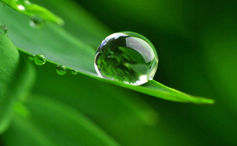 植物基发酵时代到来，益生菌将开辟新赛道