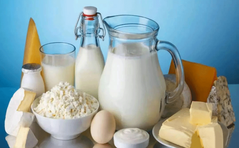 发酵是门艺术，不仅限于乳制品