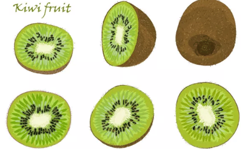 猕猴桃提取物或可增加健康人群肠蠕动