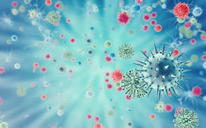 流感季，帮助人类御敌的提取物