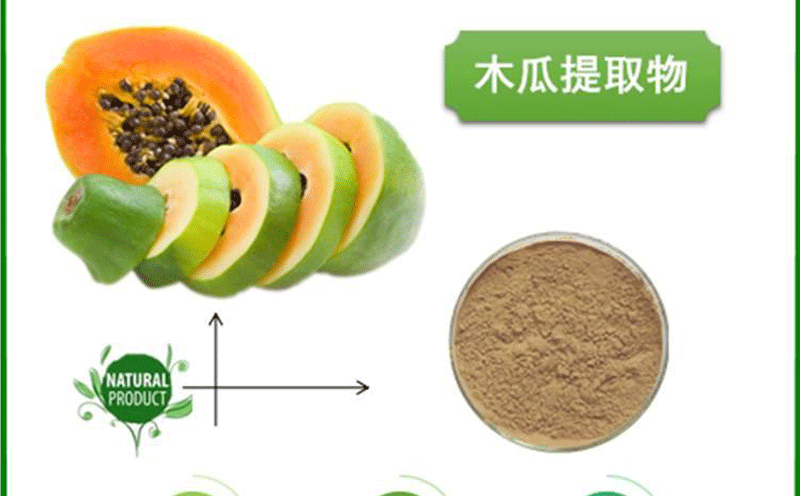 木瓜提取物