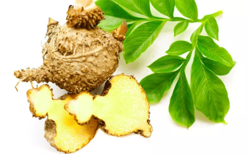 魔芋提取物：低聚甘露糖