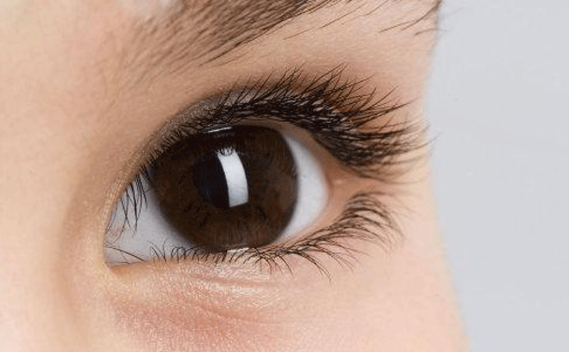 眼部健康营养聚焦