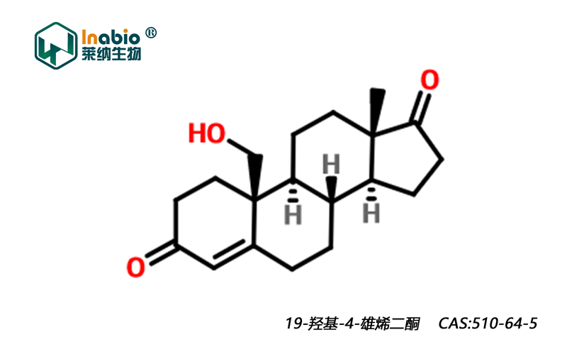19-羟基-4-雄烯二酮-(开环物)