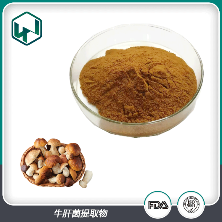 牛肝菌提取物