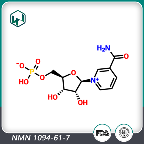 烟酰胺单核苷酸NMN