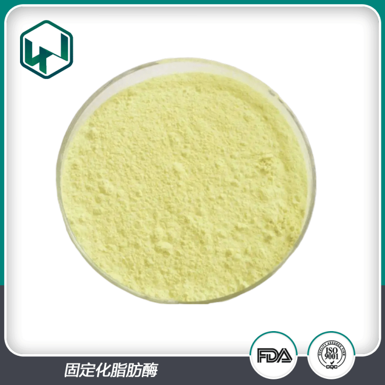 固定化脂肪酶