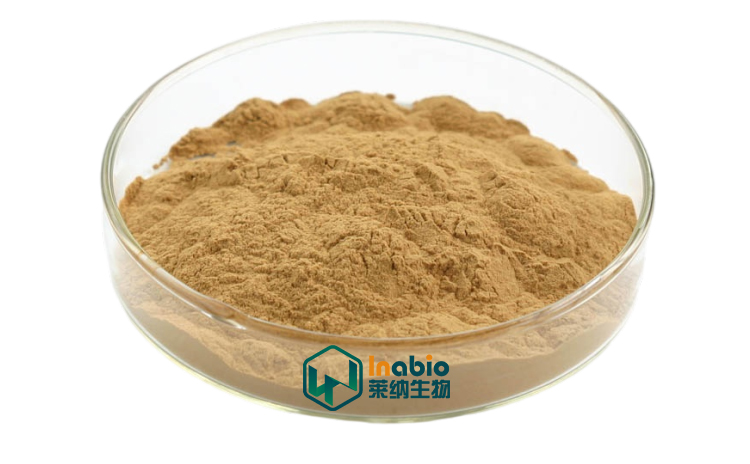 茶叶中特有的非蛋白类氨基酸