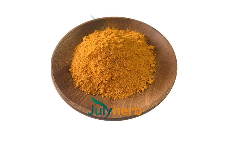 叶黄素及叶黄素酯