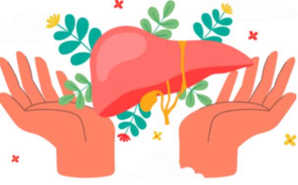 「护肝」功能性食品市场规模增长近 30%！五大热门成分助力开发哪些新型护肝产品？