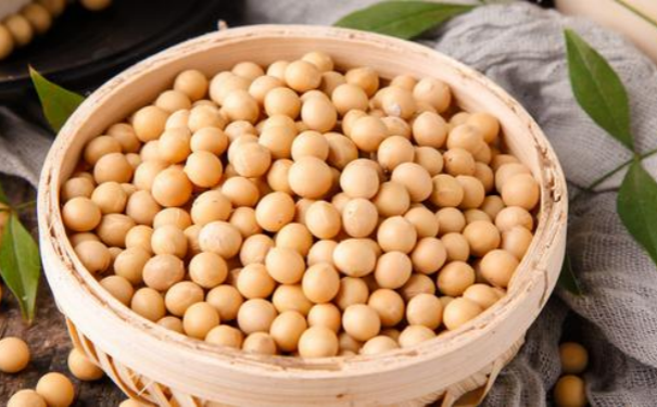 运动营养专题 | 减重增肌新发现：效果优于芊动蛋白奶昔，低支链氨基酸保护骨骼改善代谢